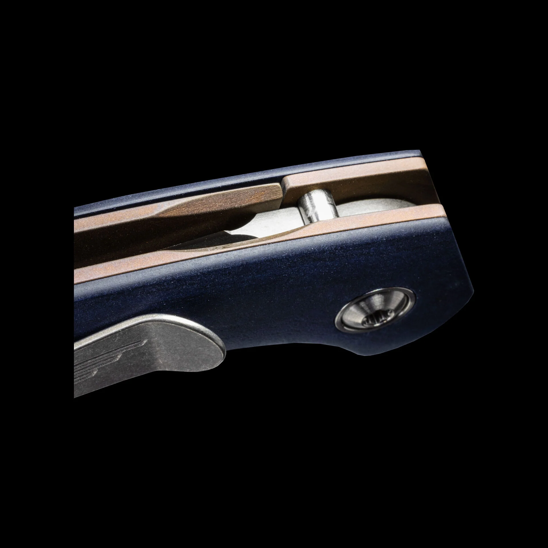 Jarosz M75 TAD Edition - Image 5