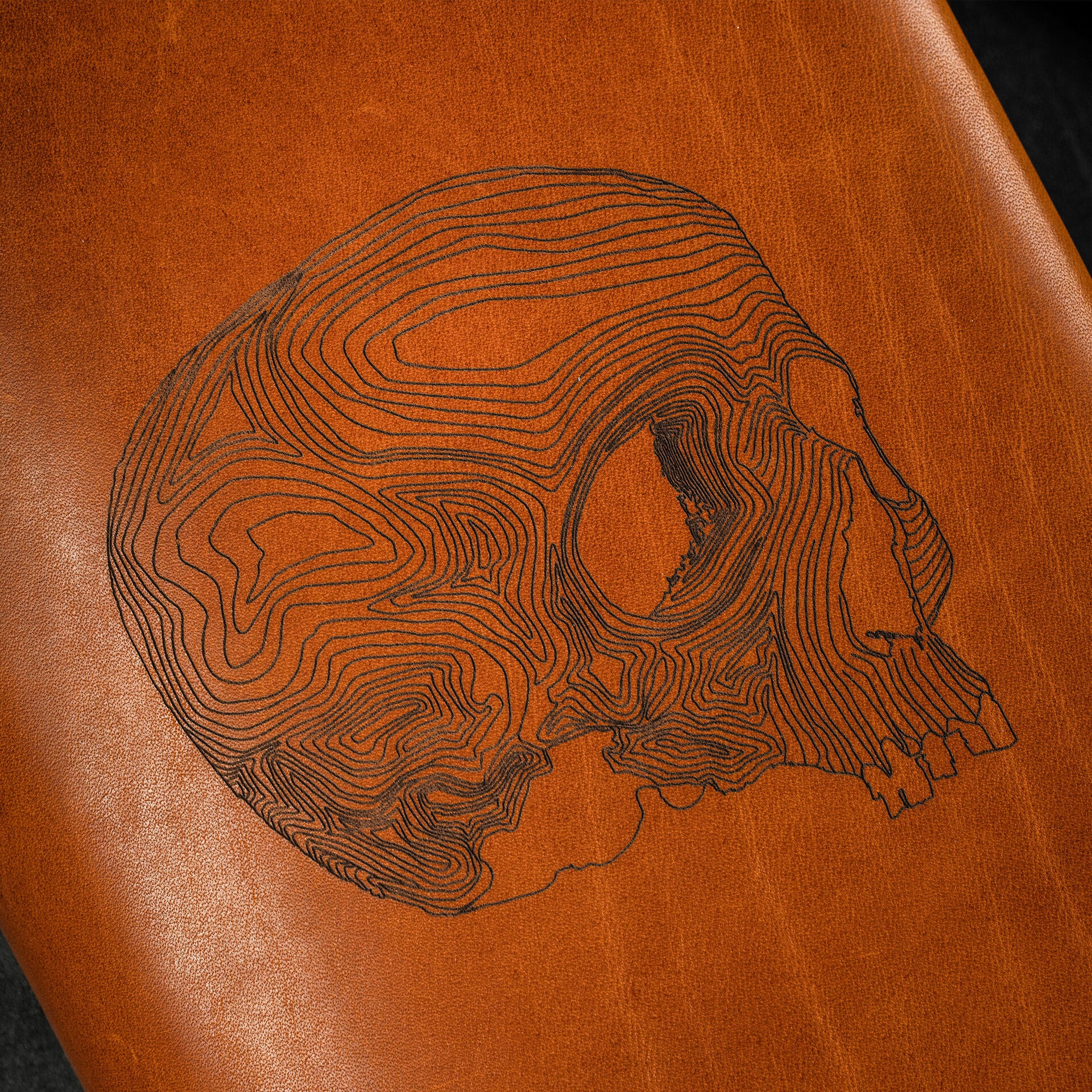 Murdy Travel Cut Topo Skull TAD Edition - Image 12